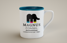 MAGNUS CONSEIL