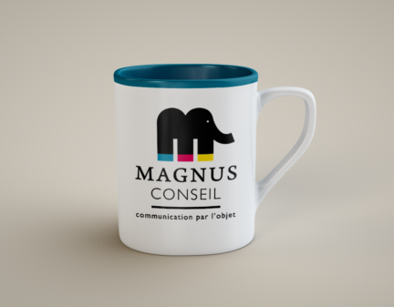 MAGNUS CONSEIL